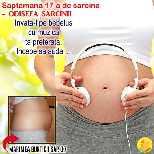Cat de mare este burta in Saptamana 17 de sarcina -  de acum vei putea simti prima miscare a bebelusului tau drag (VIDEO)