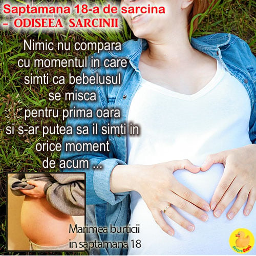 Cat de mare este burta in Saptamana 18 de sarcina -  bebe incepe sa caste de somn sau de plictiseala (VIDEO)