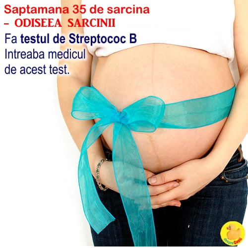 Cat de mare este burta in Saptamana 35 de sarcina -  bebe creste in continuare si se acopera cu grasime (VIDEO)