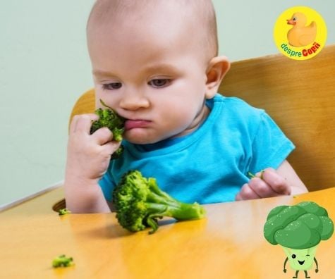 Broccoli in alimentatia bebelusilor -  beneficii si sfaturi de introducere