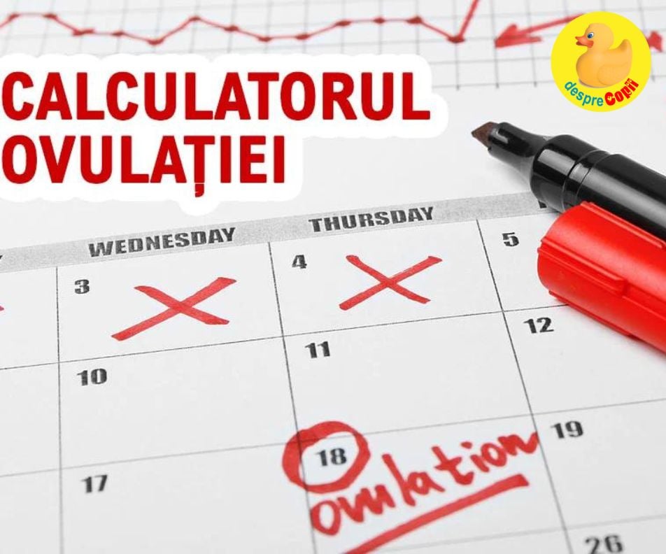 Ovulatia si calculul ovulatiei prin metoda calendarului - informatii cheie daca iti doresti un copil -  CALCULATOR