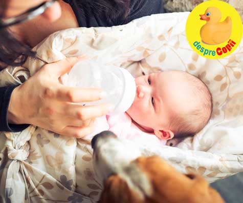 Greselile mamicilor dupa cezariana -  Renuntarea la alaptarea bebelusului
