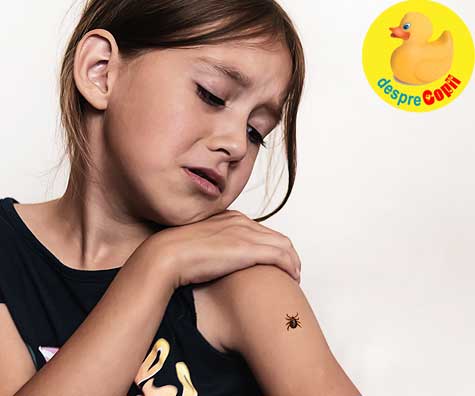 Cum ferim copiii de capuse -  atentie aceste insecte pot provoca boli grave