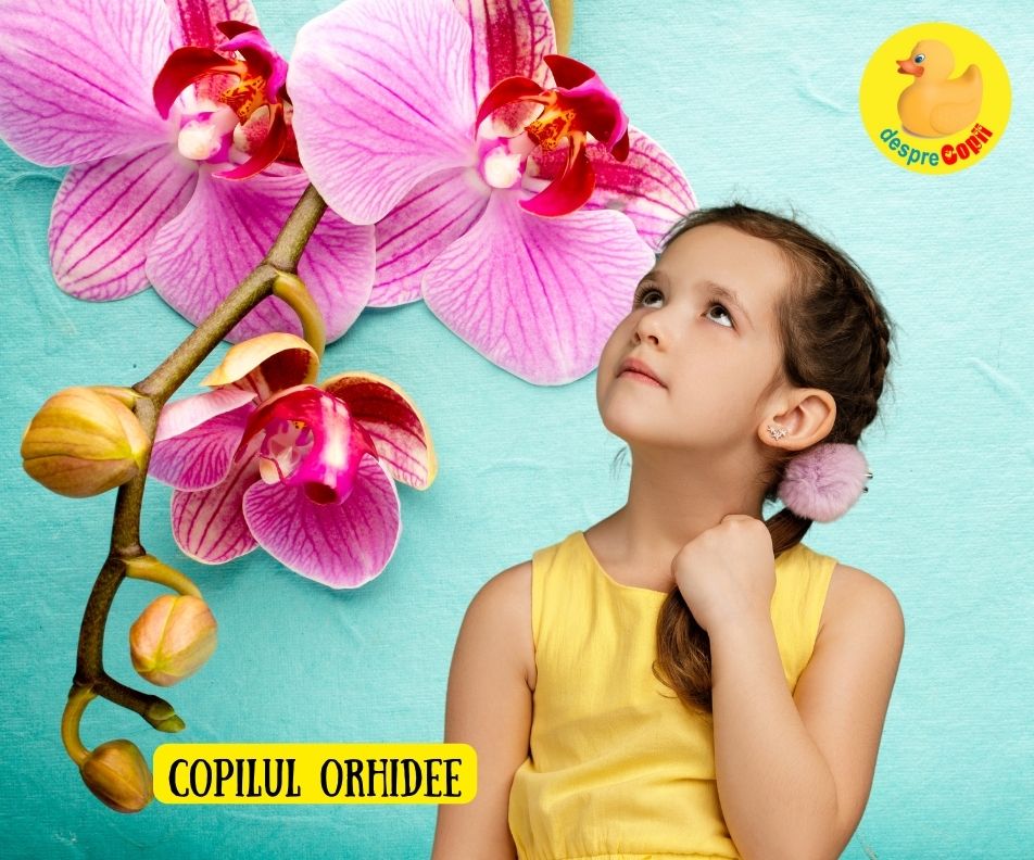 Secretul Copilului Orhidee -  Cum sa ingrijesti si sa sustii geniul ascuns
