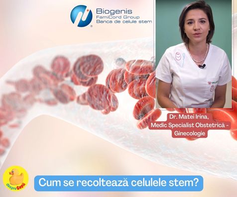 Cum se recolteaza celulele stem? Ne explica medicul ginecolog
