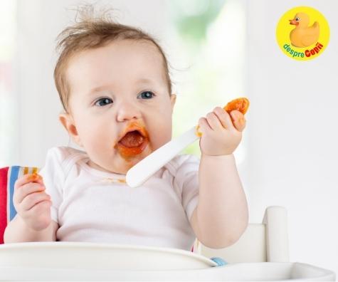Diversificarea alimentatiei la bebelusi -  Cum si cand? Sfaturi utile pentru parinti