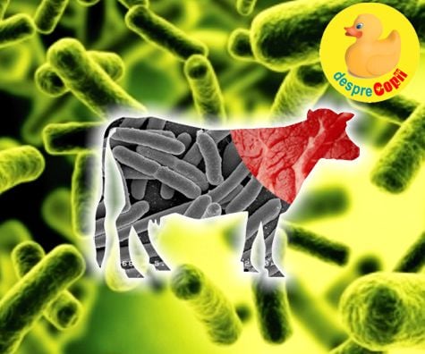 Infectia cu E.coli -  simptome, contaminare si prevenire - pericolul din unele alimente