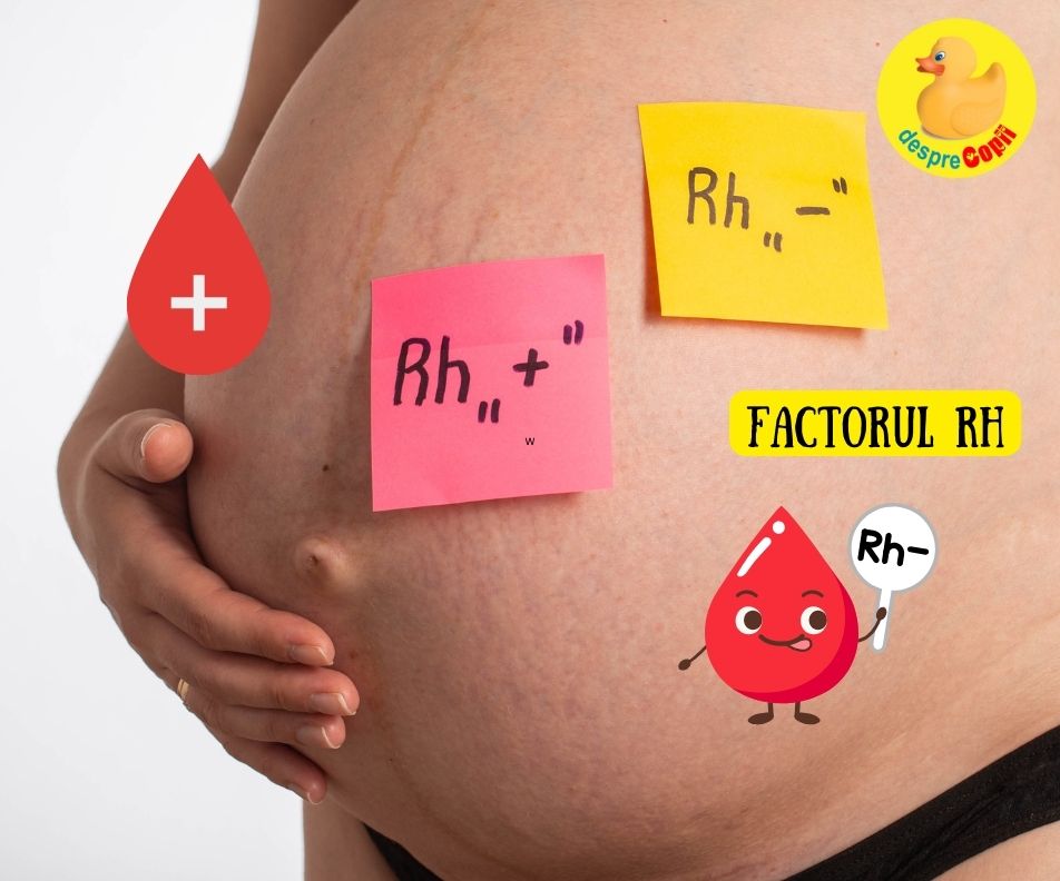 Factorul Rh in sarcina -  riscuri si preventie - sfatul medicului