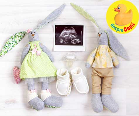 Ce facea bebe in burtica - sau despre ecografii in sarcina - jurnal de sarcina
