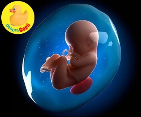 Lichidul amniotic -  de ce este important nivelul sau in timpul sarcinii