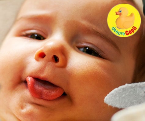 Limba legata la bebelusi -  10 intrebari si raspunsuri