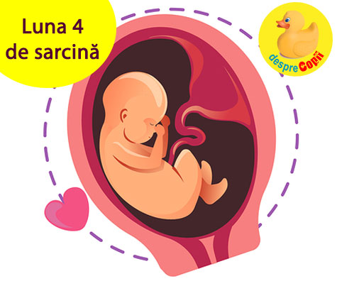Luna 4 de sarcina -  incep miscarile bebelusului si iata de ce ii poti canta deja