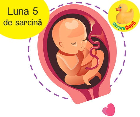 Luna 5 de sarcina -  bebelusul are acum amprente iar foamea da tarcoale mamicii