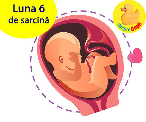 Luna 6 de sarcina -  bebelusul e tot mai activ iar mami are nevoie de rasfat