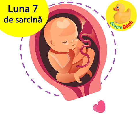 Luna 7 de sarcina -  burtica creste mult si incep sa apara vergeturile iar bebelusul poate asculta muzica