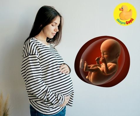 Miscarile fetale, primele semne ale bebelusului in burtica mamei - cum se simt si mai ales CAND