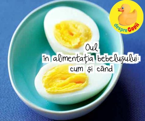 Oul in alimentatia bebelusului -  cum si cand - si retete cu ou pentru bebelusi