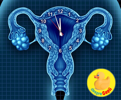 Tulburarile de ovulatie si impactul asupra fertilitatii -  cauze si tratamente