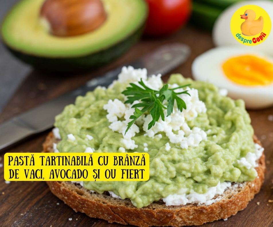 Pasta tartinabila cu branza de vaci, avocado si ou fiert – cremoasa, hranitoare pentru intreaga familie