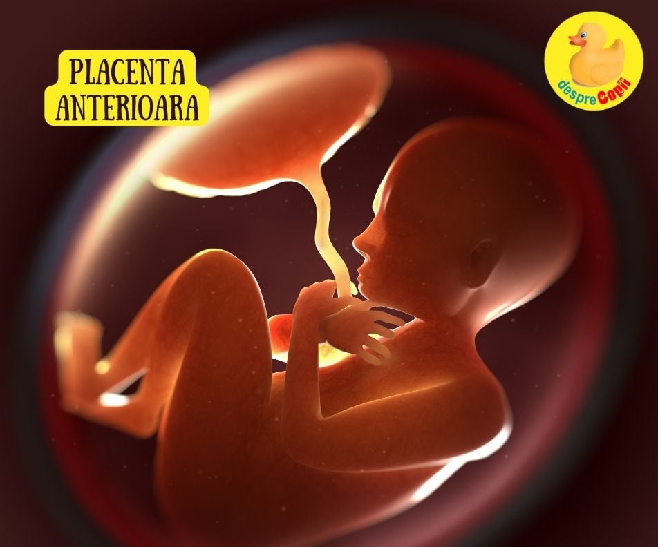 Placenta anterioara -  ce inseamna pentru sarcina si fat si sfatul medicului