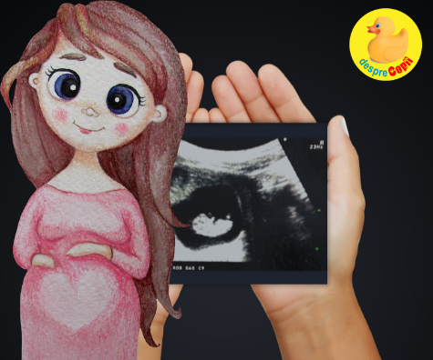 Hello bebe -  prima vizita la medic si prima ecografie din sarcina - jurnal de sarcina