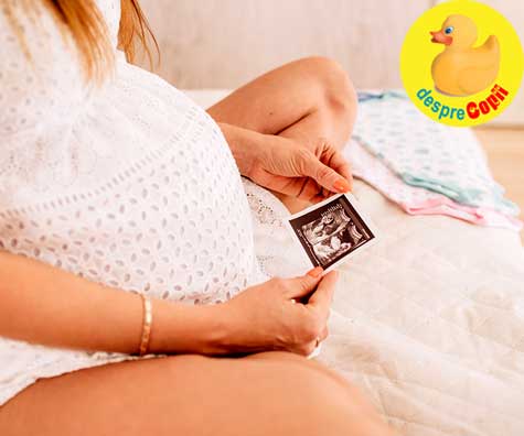 Primele doua etape ale sarcinii -  trimestrul I & II de sarcina - jurnal de sarcina
