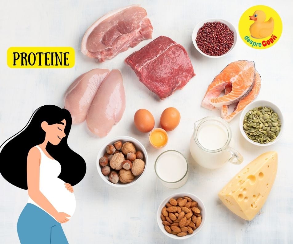 Rolul proteinelor in timpul sarcinii -  iata de cate proteine are nevoie o femeie insarcinata si din ce surse