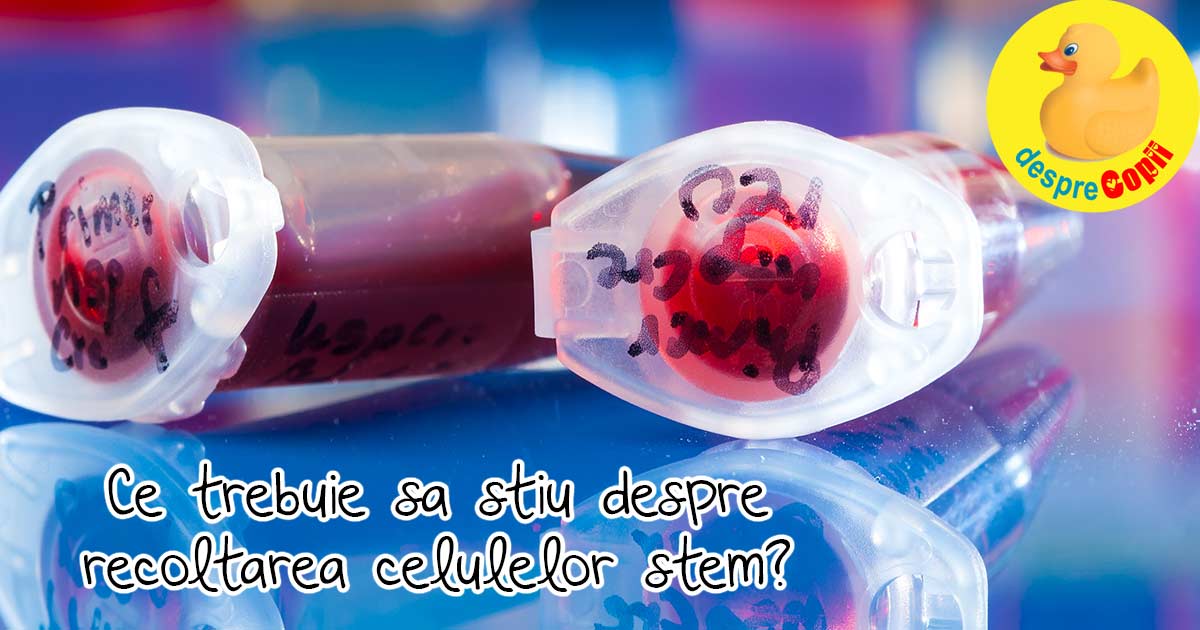 Sarcina -  Facem recoltarea celulelor stem sau nu? Iata sfatul medicului