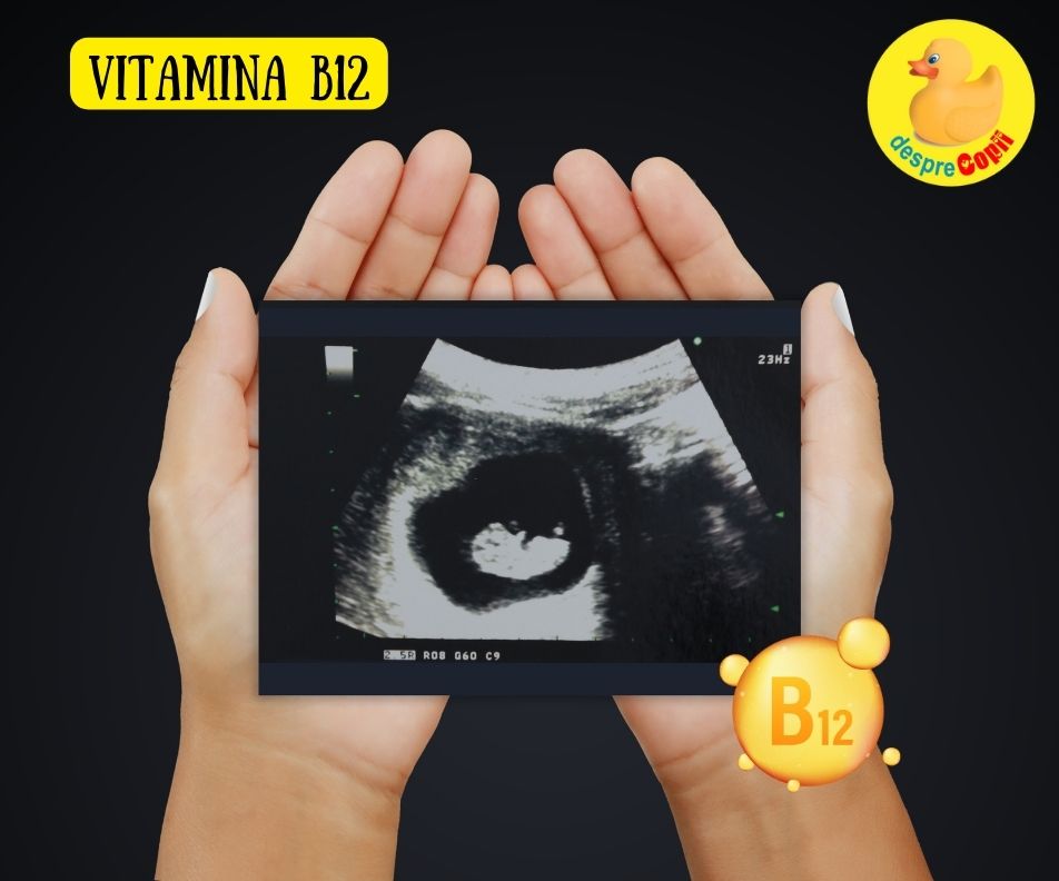 Vitamina B12 si cresterea sanatoasa a fatului -  De ce este cruciala în timpul sarcinii aceasta vitamina