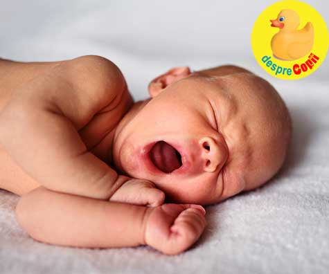 Programul de somn al nou-nascutului -  la ce sa ne asteptam si DIAGRAMA de somn