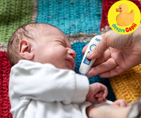 Greselile mamicilor de bebelusi -  reactia gresita la febra bebelusului