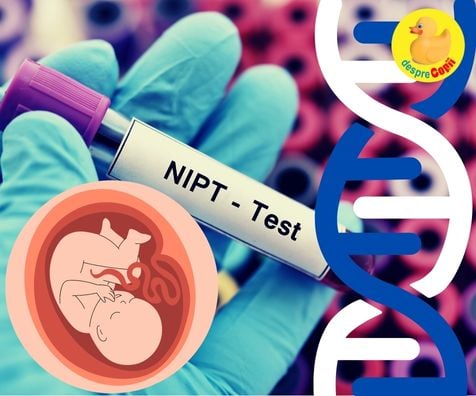Testele prenatale non invazive NIPT. Variante, acuratete si indicatii - tot ce trebuie sa stii -  GHID