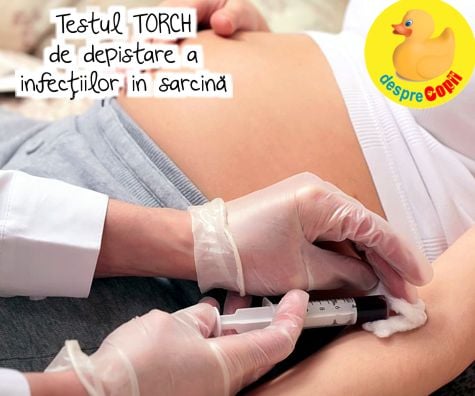 Testul TORCH de depistare a infectiilor in sarcina -  cand se face, cui se recomanda si cum sunt interpretate analizele - ghid utill