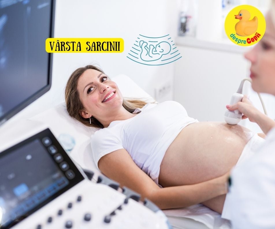 Varsta sarcinii -  Interpretarea varstei bebelusului prin tehnologia ecografiei