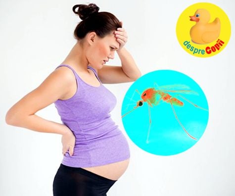 Virusul Zika -  intrebari si raspunsuri importante pentru sarcina si sanatatea bebelusului