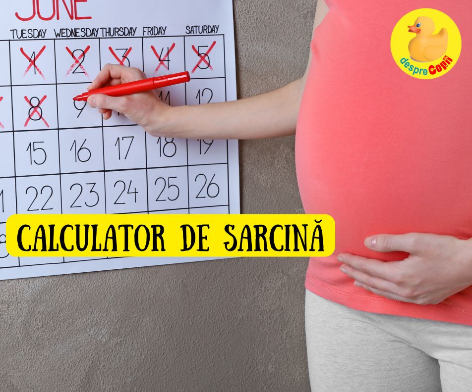 Calculator de Sarcina. Calculatorul acesta iti spune data nasterii puiului tau