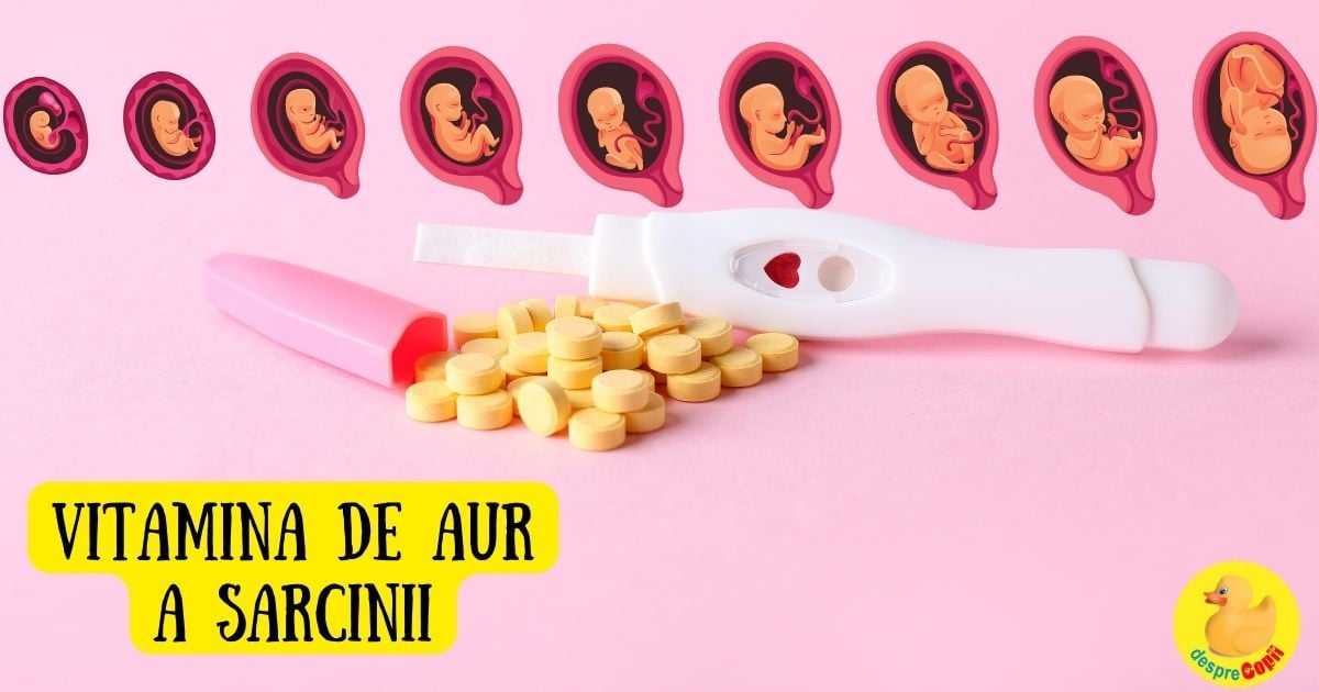 Acidul folic -  cum protejeaza sarcina si de ce este numita vitamina de aur a sarcinii - infografic