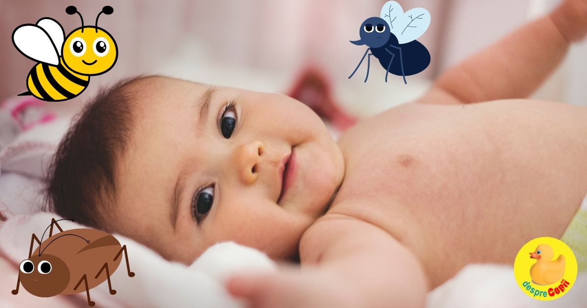 Cum protejam bebelusul de ciupiturile de insecte -  care substante sunt recomandate si care nu si ce efecte pot avea - sfatul medicului