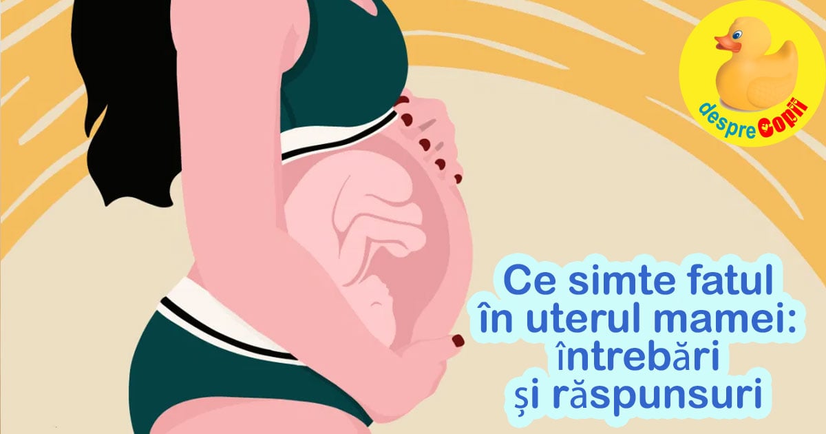Ce simte fatul in uterul mamei -  intrebari si raspunsuri care te vor minuna