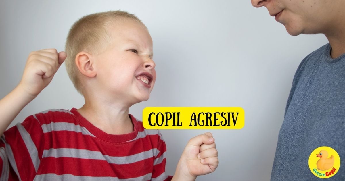 Copilul agresiv -  cauze, prevenire si cum reactionam - sfatul psihologului