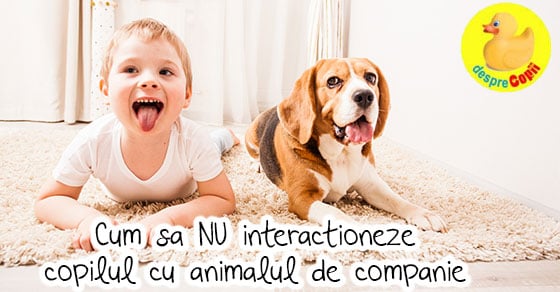 Cum sa NU interactioneze copilul cu animalul de companie