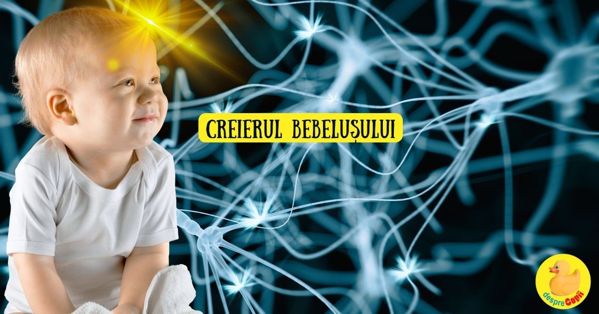 Creierul bebelusului - 11 lucruri pe care nu le stiai despre cel mai complex organ al sau