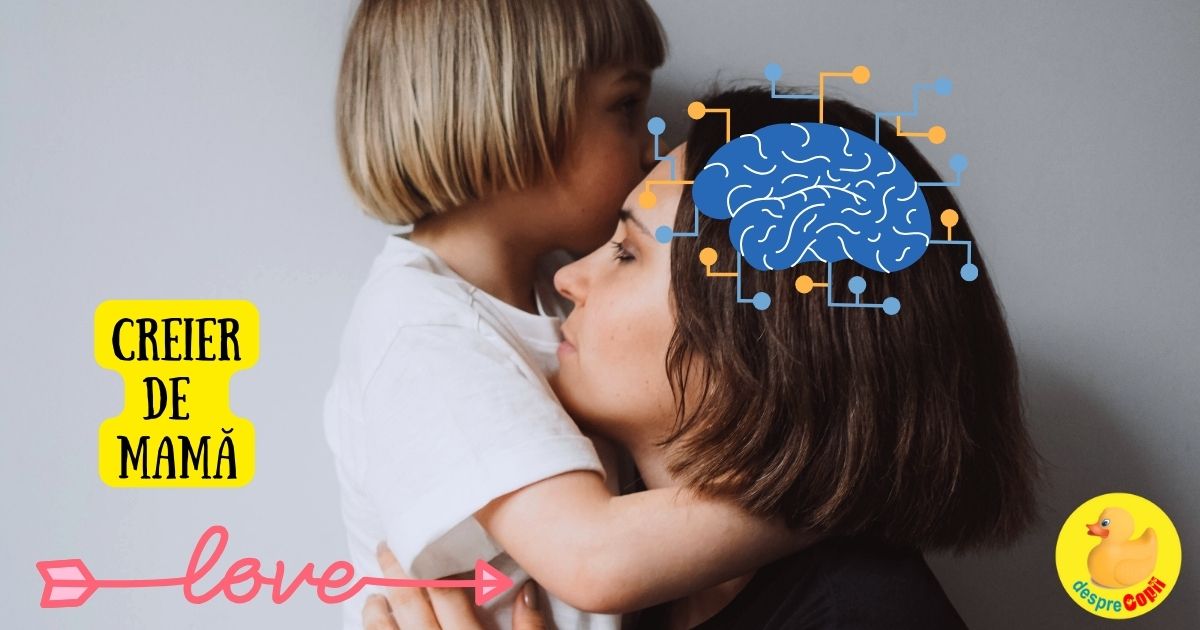 Creier de mama - cum se transforma creierul unei femei dupa ce devine mama si ce emotii se schimba