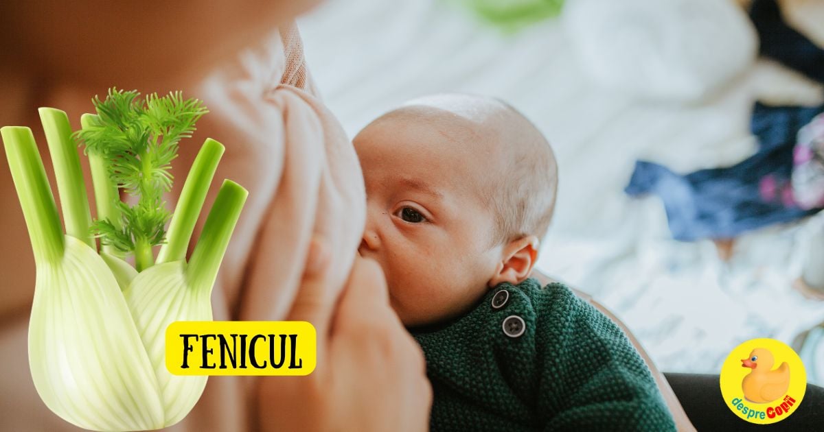 Ceaiul de fenicul in lupta cu colicile bebelusului - este mit sau realitate?