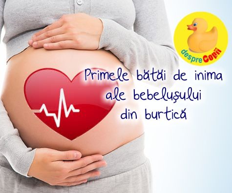 Primele Batai De Inima Ale Bebelusului Din Burtica Mamei Desprecopii Com