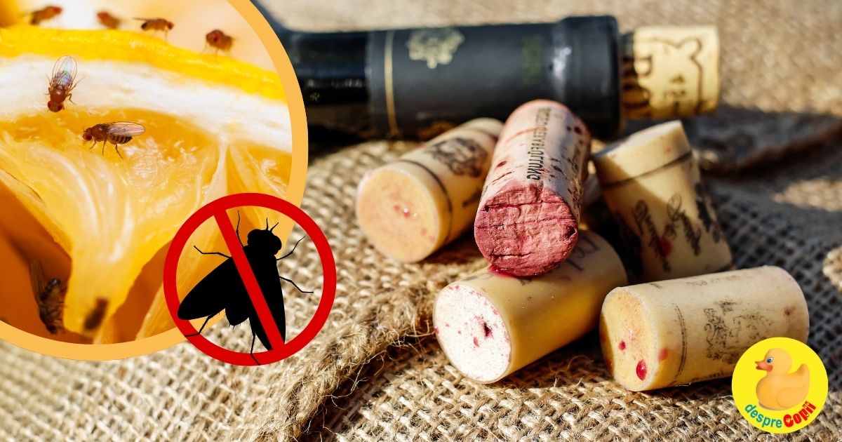 Elimina musculitele de fructe cu dopuri de vin - Sfaturi si trucuri