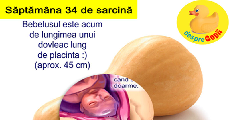 Saptamana 34 De Sarcina Cu Video Desprecopii Com