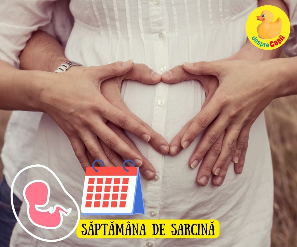 In ce saptamana de sarcina esti conform calculului medicului