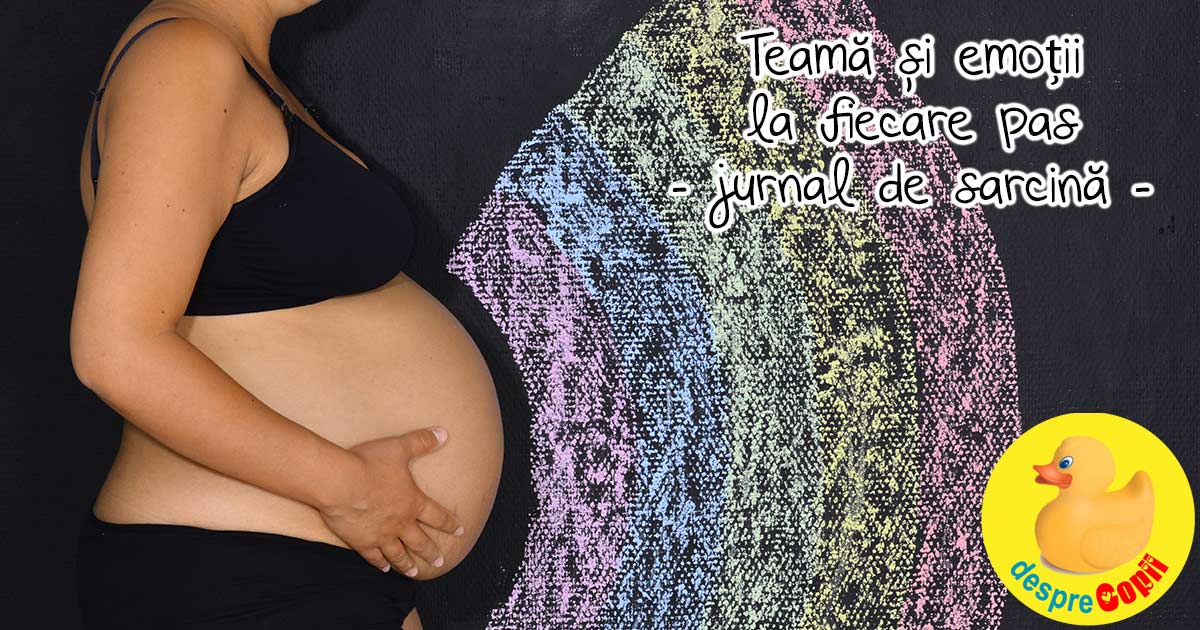 Din temerile si emotiile sarcinii -  cand embrionul avea doar un gram - jurnal de sarcina