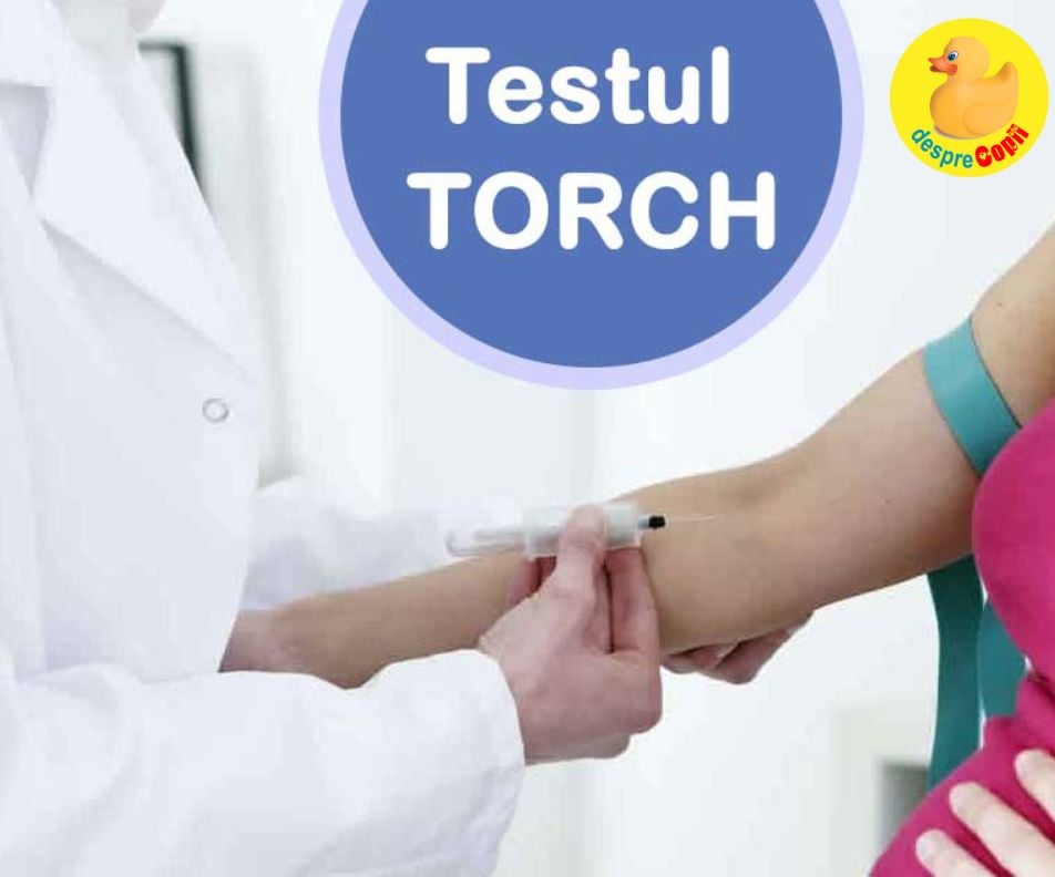 Testul TORCH de depistare a infectiilor in sarcina. Cand se face, cui se recomanda si cum sunt interpretate analizele - ghid utill